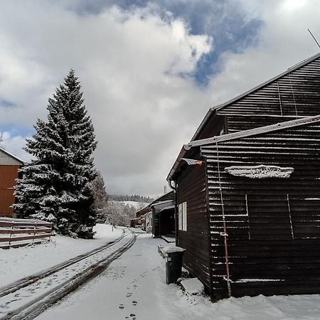 Penzion Apartmany Aninka Mariánská Extérieur photo